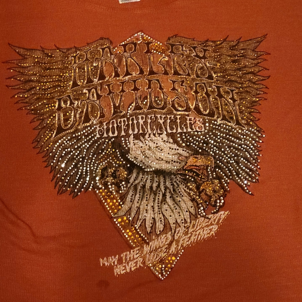 Harley-Davidson Orange and Gold Short Sleeve Tee with Wing Design